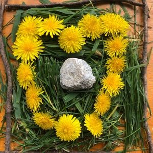 Meet your Posher, Jess